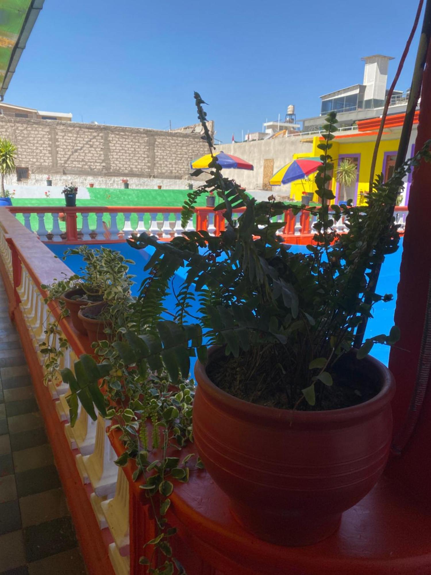 Pusary Hostel Arequipa Exterior foto